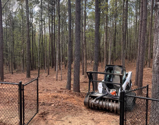 dirt n wood land management b