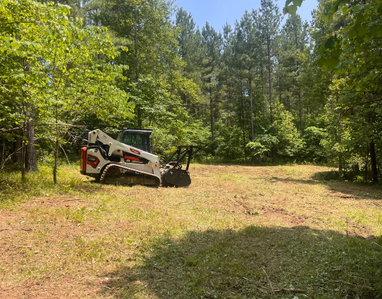 dirt n wood land management c