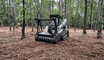 forestry mulching