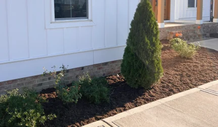 landscaping installation